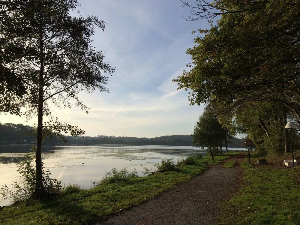 chemin et lac